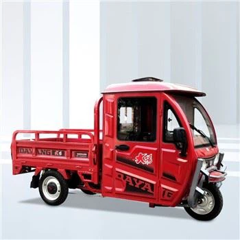 Tricikl s električnim teretom snage 800W