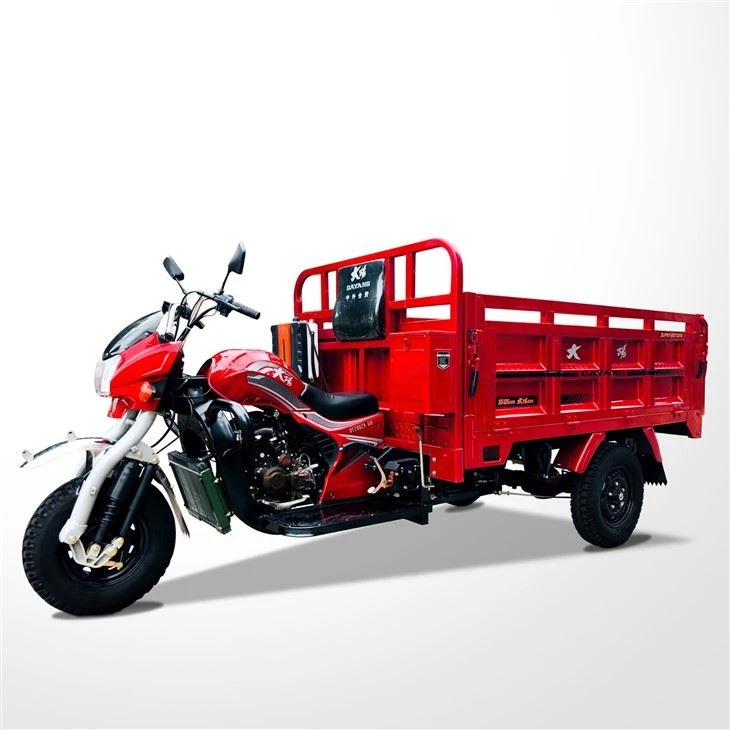 300cc 3 Wheels Cargo Farm