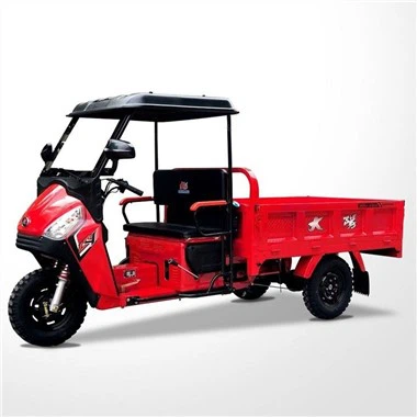 Teretni motor s tri kotača od 110 ccm