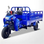 250cc Carguero Chargement Triciklo