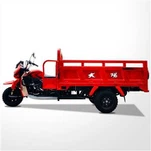 Tricar Motorizado De Cargo