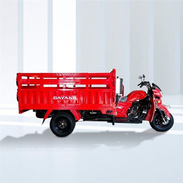 Transport Cargo Petrol Tricycle Vans