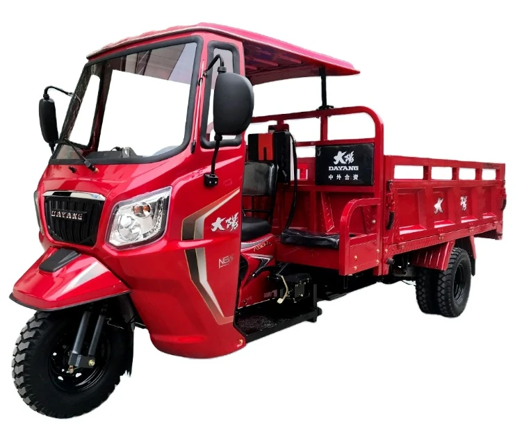 DAYANG Hot-selling   Stabilna 3 Wheeler Cargo Tuk-tuk