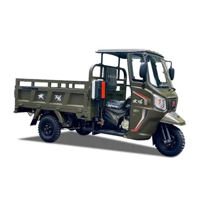 Vruća prodaja 150 cc 175 cc 200 cc Benzin Benzin Triporteur Motorizado